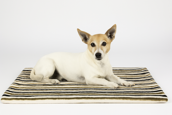 Kuscheldecke - Streifen weiß, grün, braun